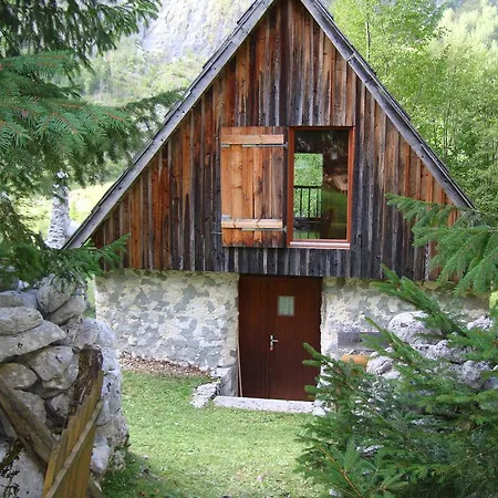 House Pod Lipo *