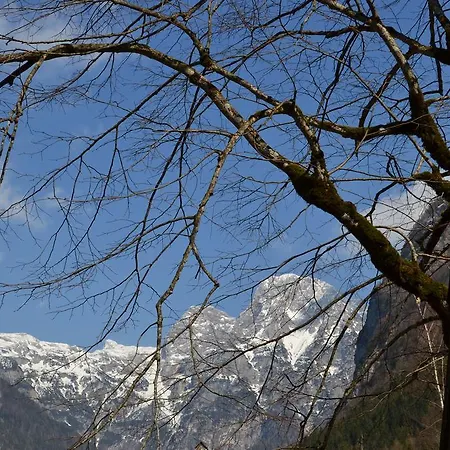 בית נופש House Pod Lipo טרנטה