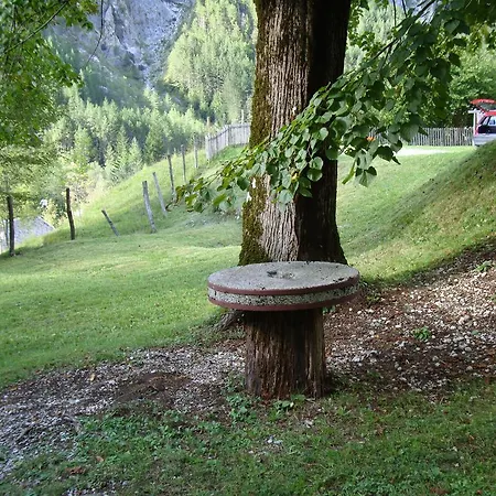 Dom wakacyjny House Pod Lipo Trenta