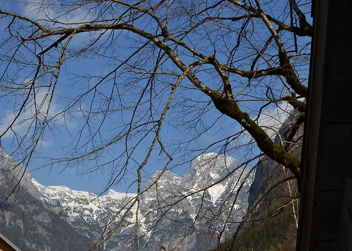 Dom wakacyjny House Pod Lipo Trenta